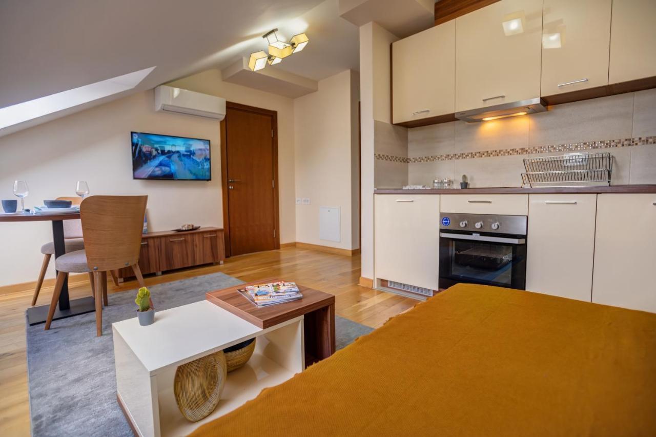 Apartman 503 Daire Belgrad Dış mekan fotoğraf